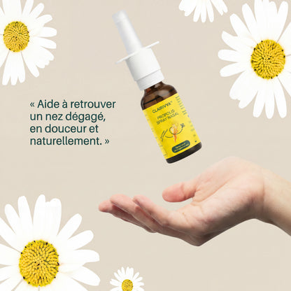 Spray nasal propolis